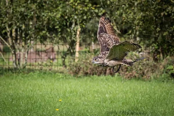 Camping La Croix Scaille gallery 3