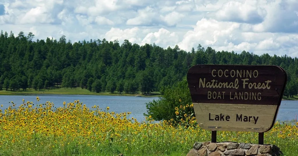 Kit Carson RV Park gallery 1