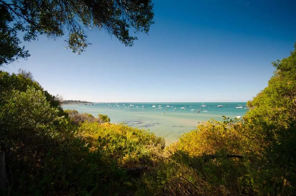 Sorrento Foreshore Camping gallery 3