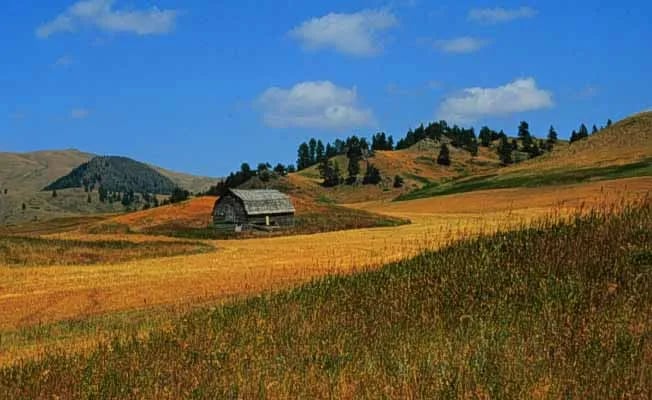 Bearpaw Lake gallery 3