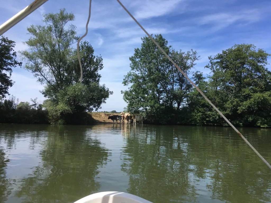 Camping Les Bords de Seille