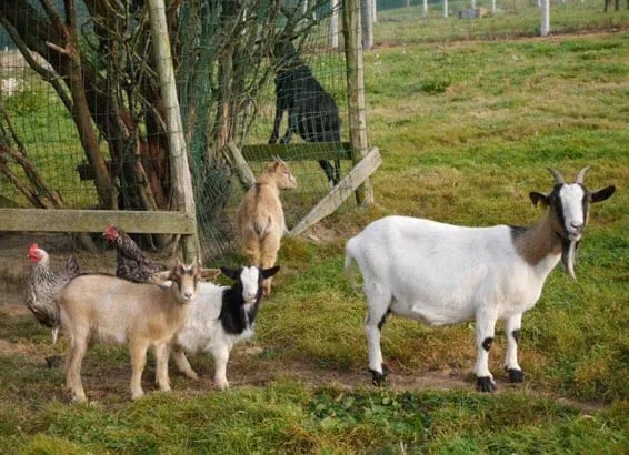 Camping Moulin de Cadillac gallery 2