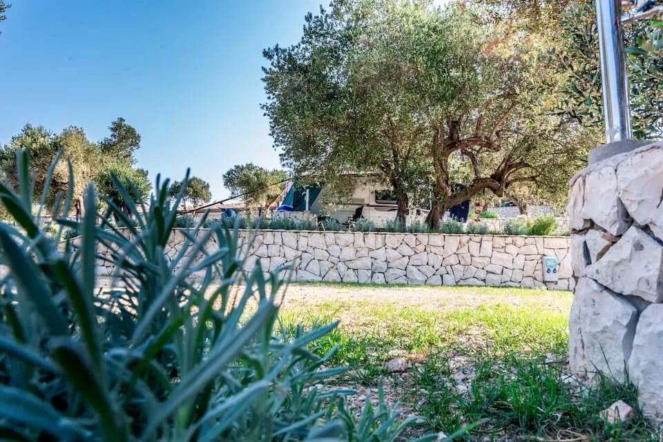 Olivia Green Camping gallery 1