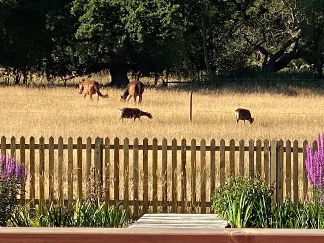 Thompson Hall Retreat gallery 3