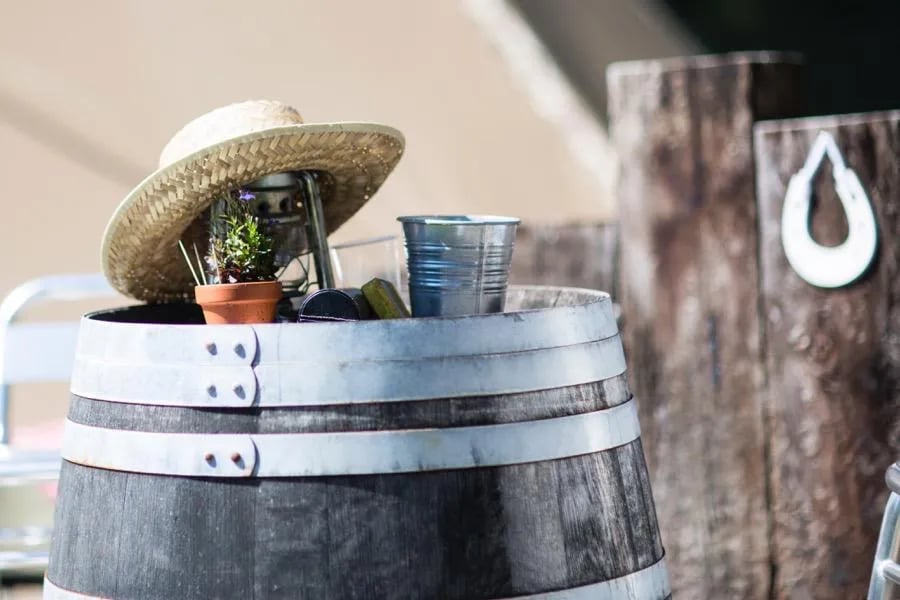 Hilton Court Campsite gallery 1