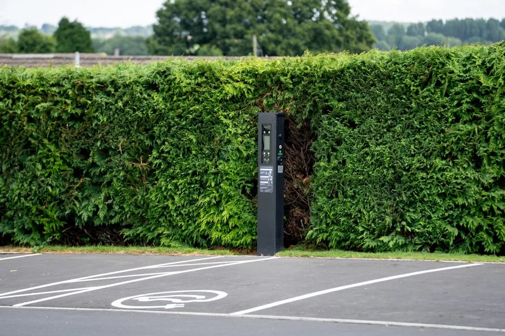 Spring Lea Park gallery 2