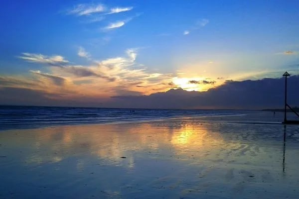 Walnut Tree gallery 3