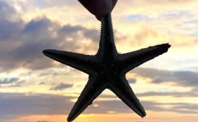 Camping Villaggio Barricata gallery 3