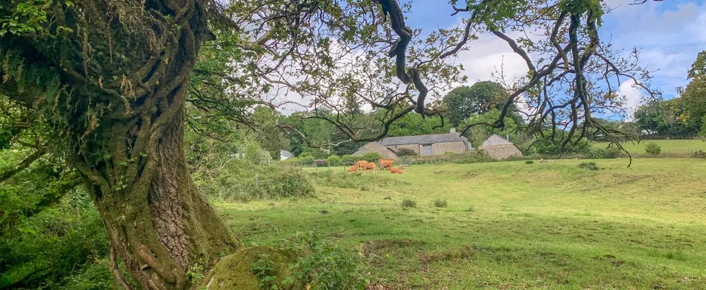 Brimpts Farm gallery 2