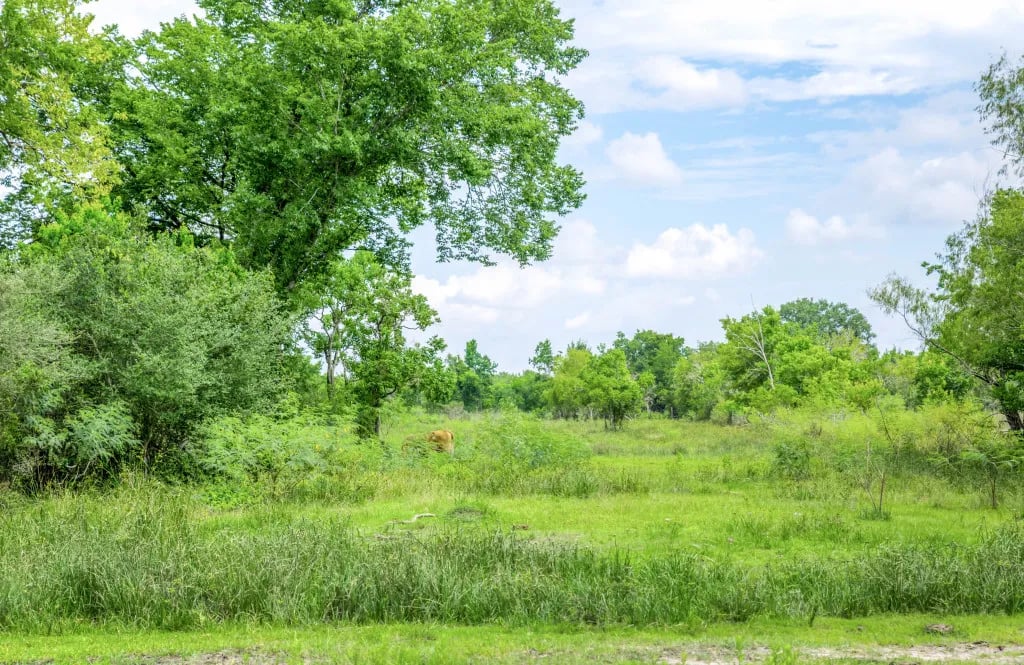 Pearland RV Park gallery 3