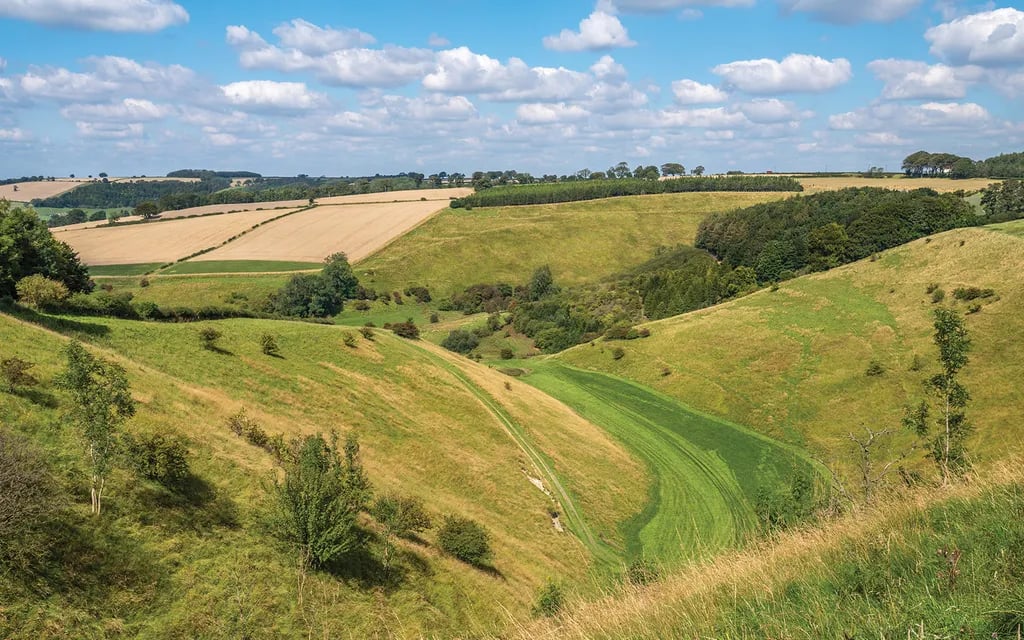 South Lea Caravan Park gallery 1