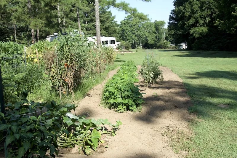 Georgia Mountain RV Resort gallery 3