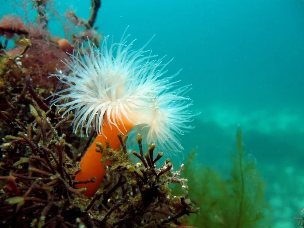 Skottevik FerieSenter gallery 1