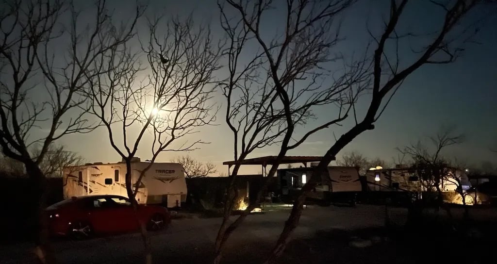 Turtle Ranch Camping and RV gallery 3