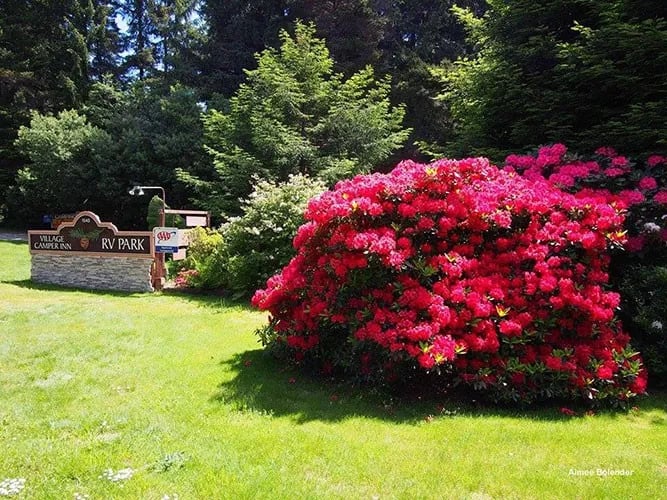 Village Camper Inn RV Park gallery 2