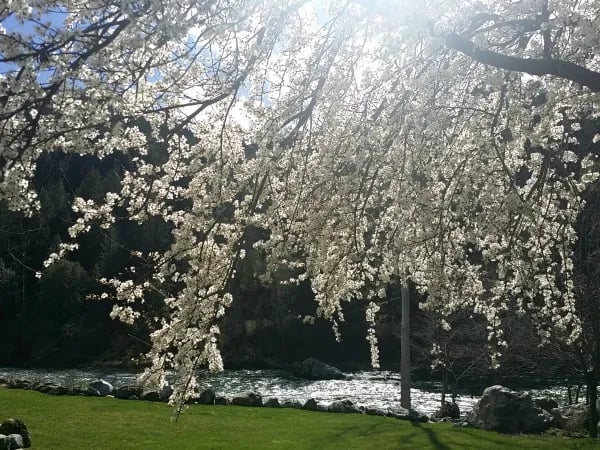 Strawhouse Resorts and Cafe gallery 2