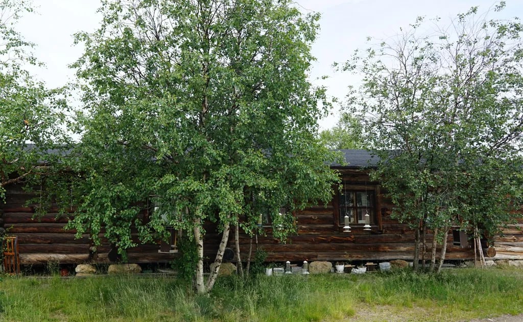 Muotkan Ruoktu gallery 3