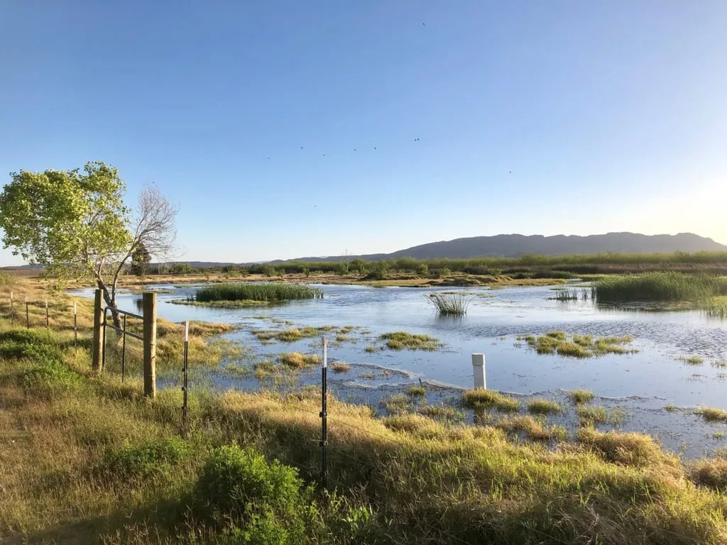 Loma Paloma RV Park gallery 2