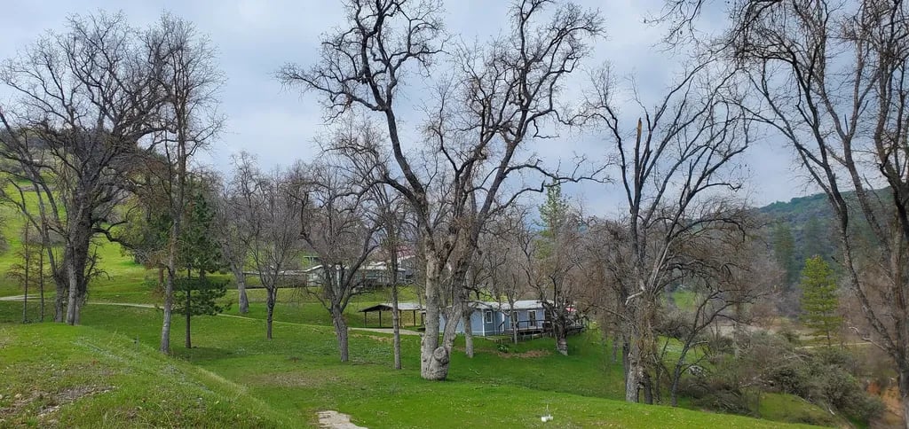 Sequoia Resort & RV Park gallery 3