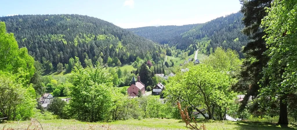 Schwarzwald Campingplatz Müllerwiese gallery 3