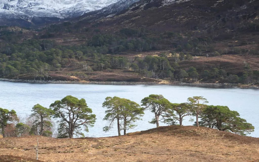 BCC Loch Ness Log Cabins gallery 1