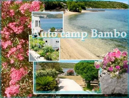 Auto kamp Bambo