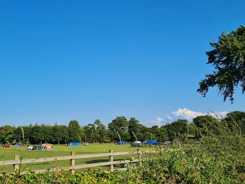 Hillend Camping and Motorhome Aire gallery 2