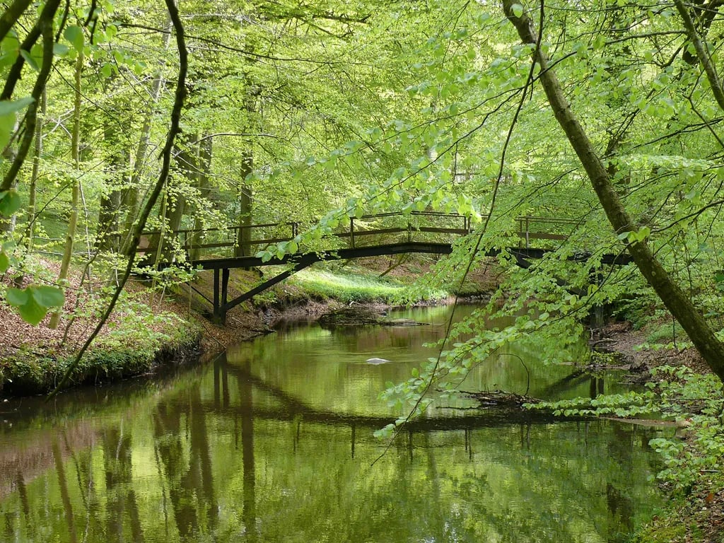 Hedebo Strand Camping