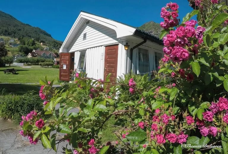 Dalsøren Camping gallery 2