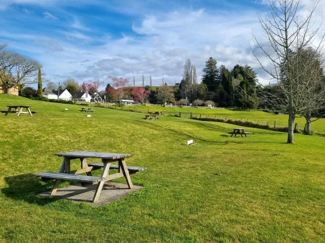 Waitomo Top 10 Holiday Park gallery 2