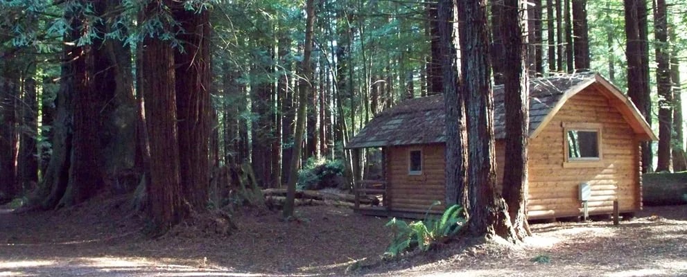 Redwood Coast Cabins & RV Resort gallery 3
