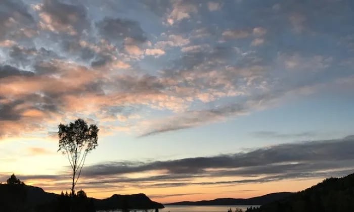 Docksta Vandrarhem och Camping – Kustladan gallery 3