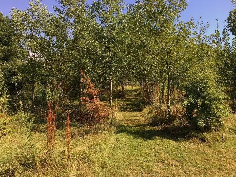 Appledore Park gallery 1