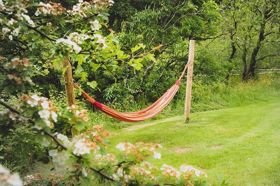 Strawfields Campsite gallery 3