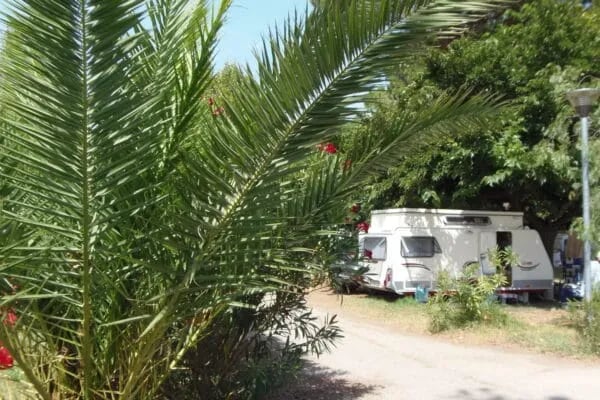 Camping Cap Sud - CamplinQ