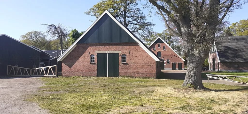 Mini Camping De Loeks gallery 2