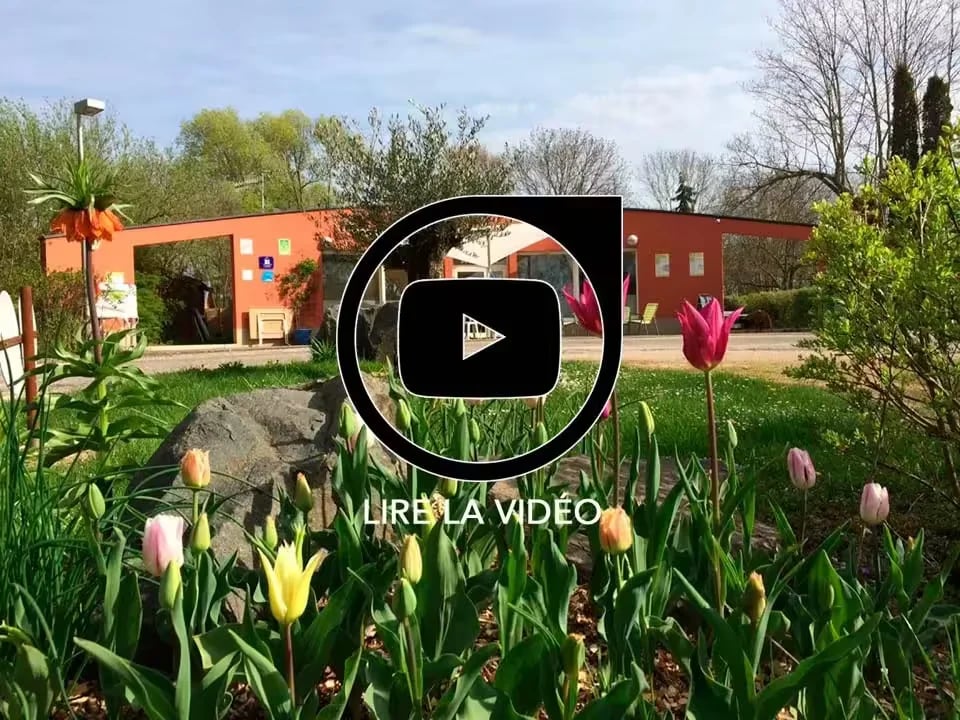 Camping l’Etang des Forges