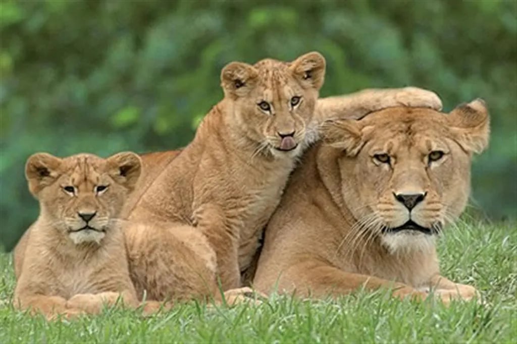 Domaine de l’Auzance