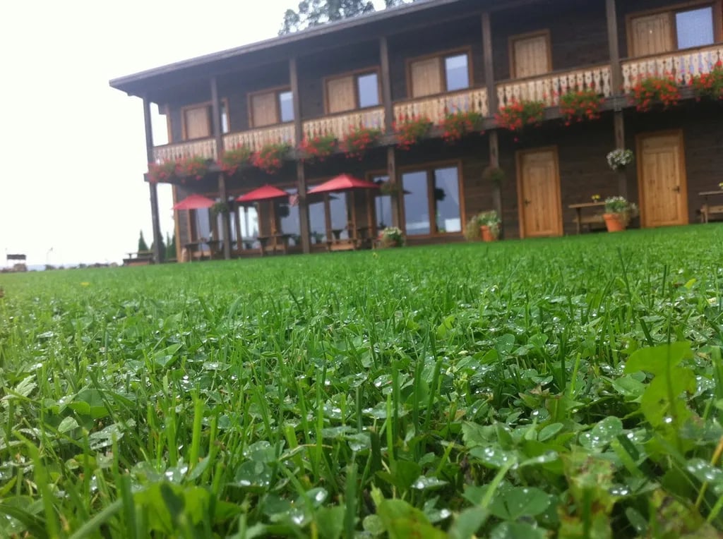 Guest House and camping Jurmala gallery 1