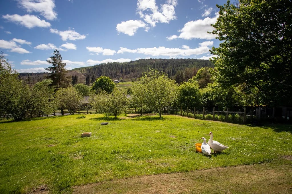 Byrness Youth Hostel