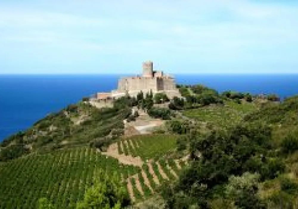 Camping Les Marsouins – Ciela Village gallery 1