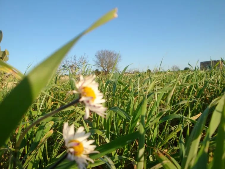 Agricampeggio Terra di Moro gallery 1