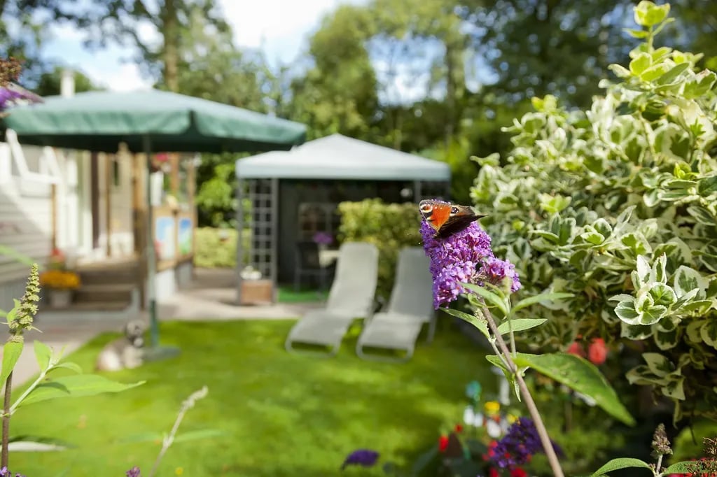 Camping De Spaendershorst