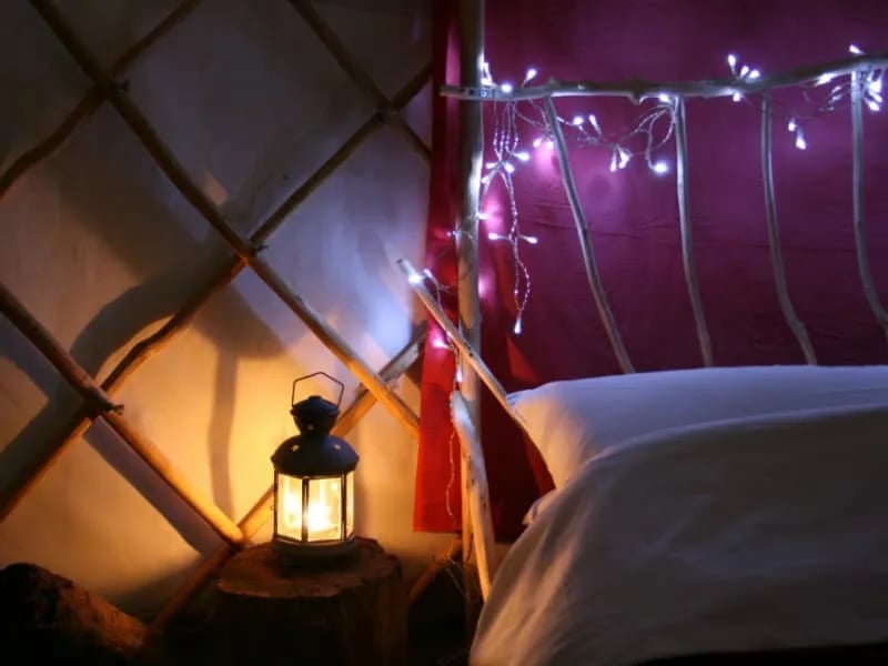 Alde Garden gallery 3