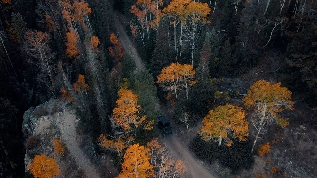 South Forty RV Park gallery 1