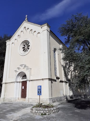 Auto Camping Good Luck