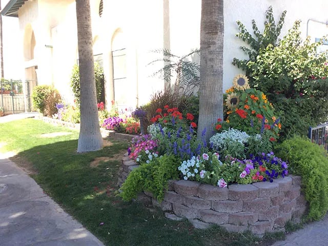 Villa Alameda RV Resort gallery 2