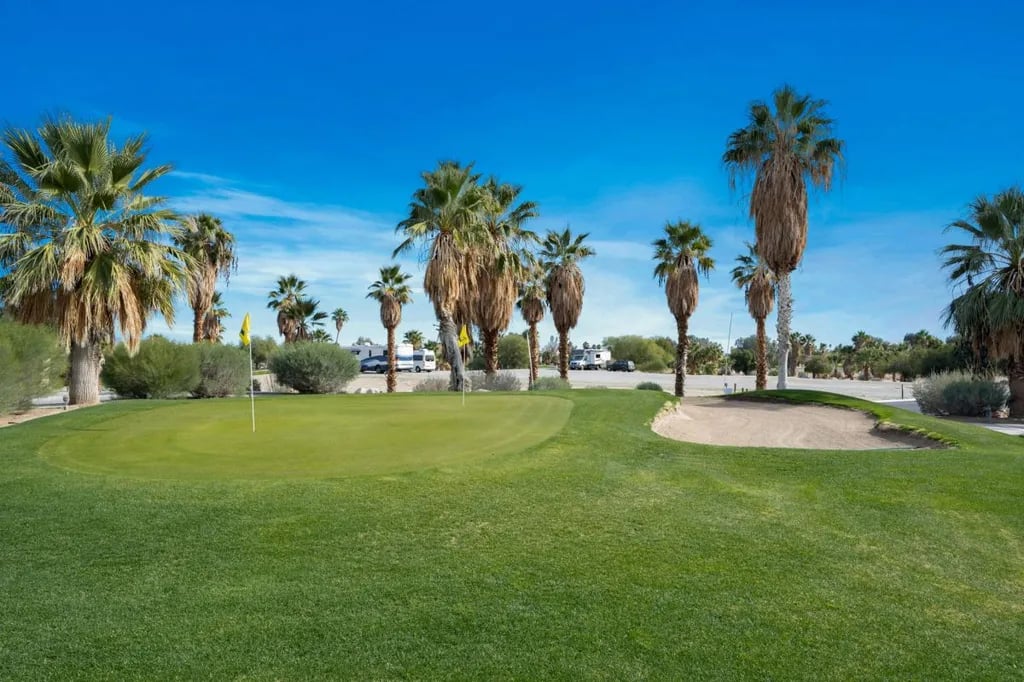 The Springs at Borrego RV Resort gallery 3