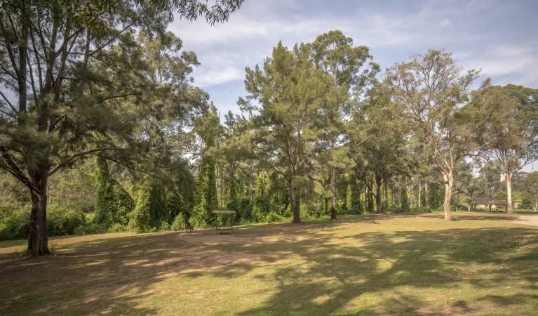 Cattai Campground gallery 2