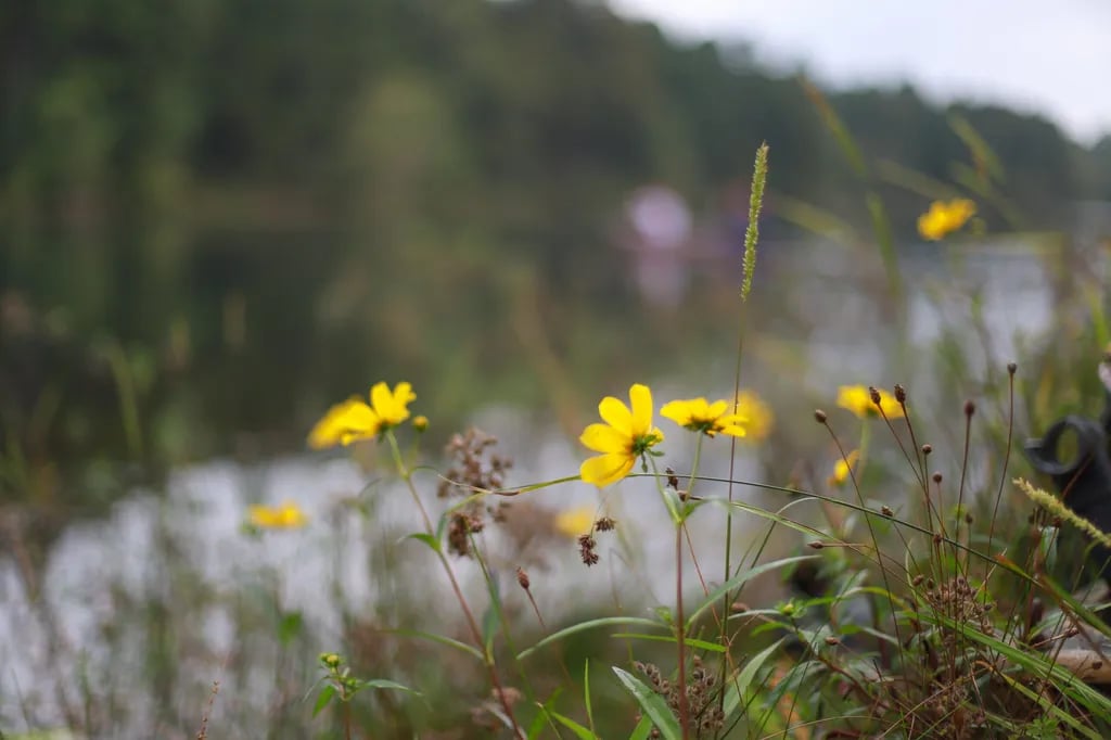 Southwoods RV Park | Christian Retirement Ministry gallery 2